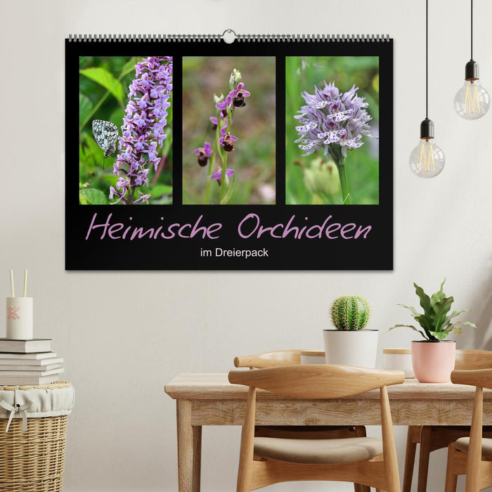Heimische Orchideen im Dreierpack (CALVENDO Wandkalender 2026)