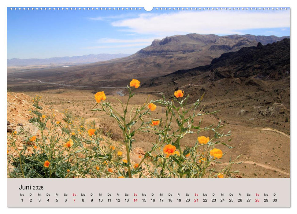 Unbekannter Iran (CALVENDO Premium Wandkalender 2026)