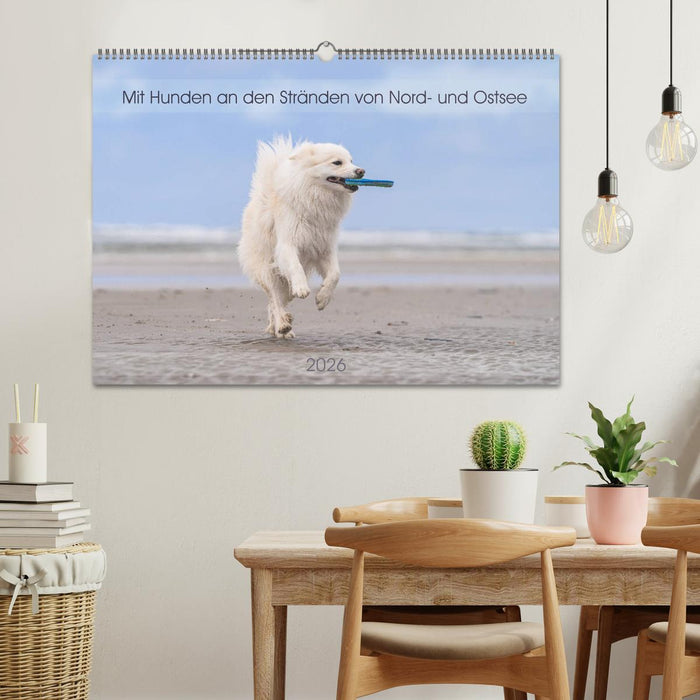 Mit Hunden an den Stränden von Nord- und Ostsee (CALVENDO Wandkalender 2026)