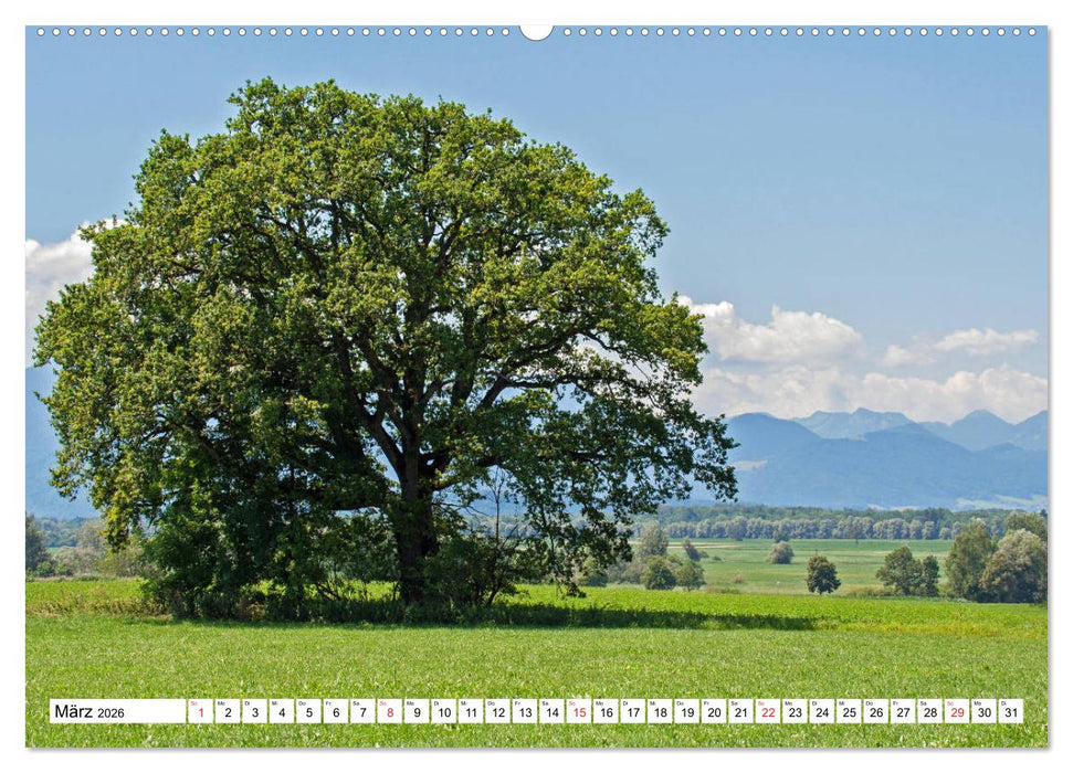 Chiemsee - Sommerferien am bayrischen Meer (CALVENDO Wandkalender 2026)