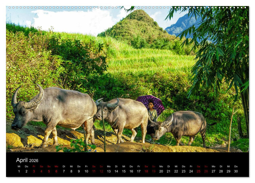 Guten Morgen, Vietnam! (CALVENDO Premium Wandkalender 2026)