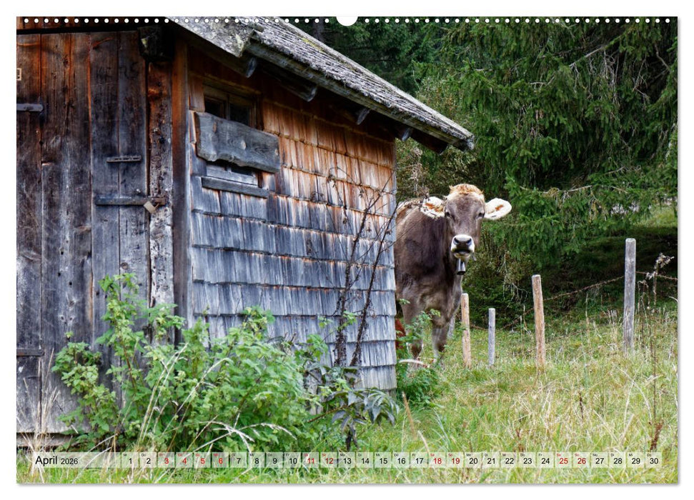 Herbst im Tannheimer Tal - Impressionen von Schattwald bis Nesselwängle (CALVENDO Premium Wandkalender 2026)