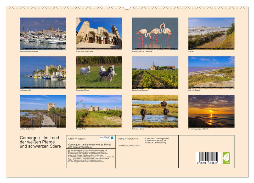 Camargue - Im Land der weißen Pferde und schwarzen Stiere (CALVENDO Premium Wandkalender 2026)