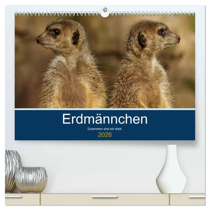 Erdmännchen - Zusammen sind wir stark (CALVENDO Premium Wandkalender 2026)