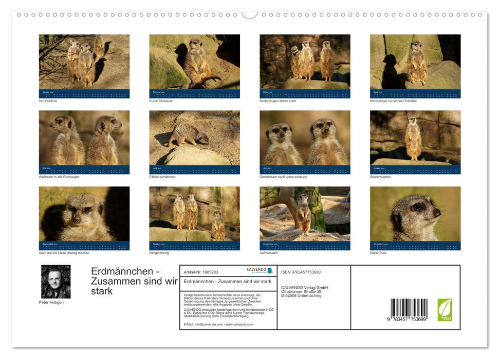 Erdmännchen - Zusammen sind wir stark (CALVENDO Premium Wandkalender 2026)