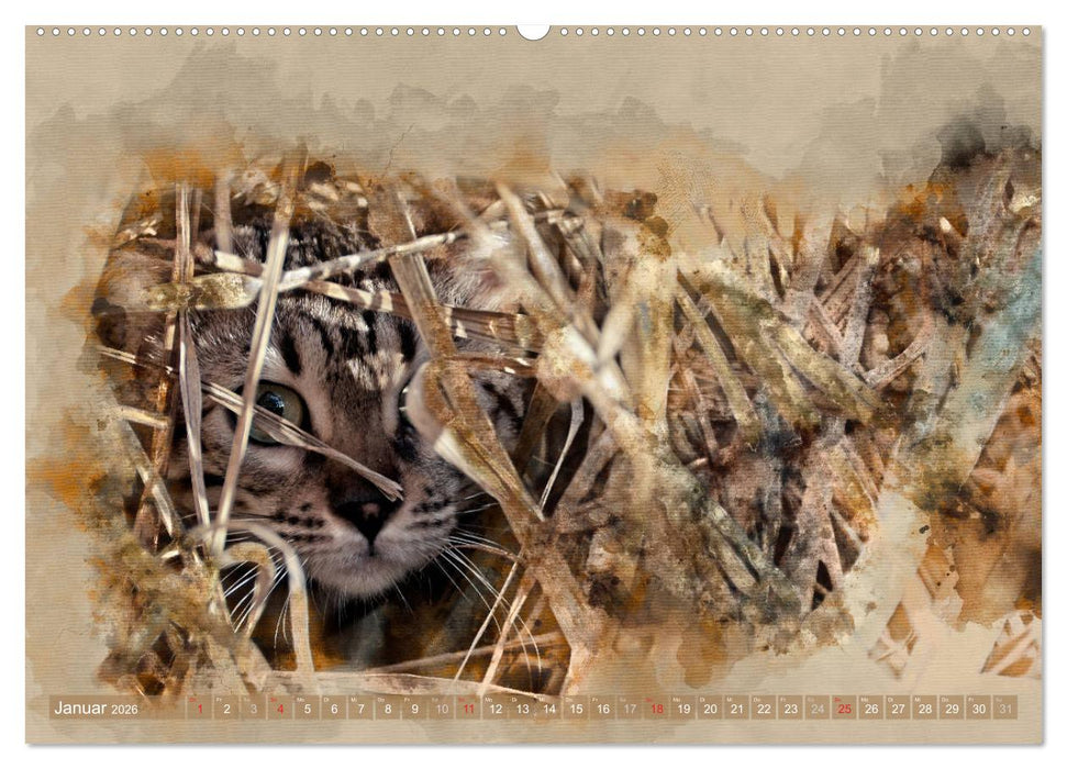 Katzenkalender mausgemalt (CALVENDO Premium Wandkalender 2026)
