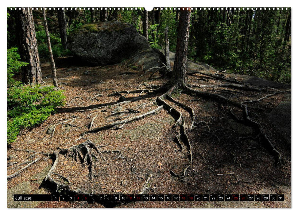 Tiveden, der NatURWALD in Schweden (CALVENDO Premium Wandkalender 2026)