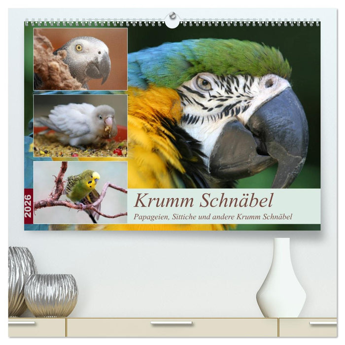 Krumm Schnäbel - Papageien, Sittiche und andere Krumm Schnäbel (CALVENDO Premium Wandkalender 2026)