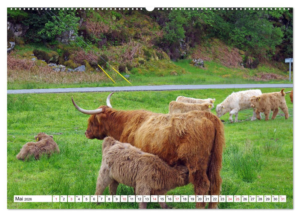 Schottland - Der Norden Großbritanniens (CALVENDO Premium Wandkalender 2026)