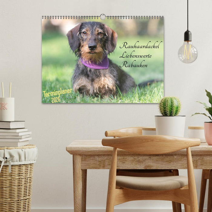 Familienplaner - Liebenswerte Rabauken - Rauhaardackel (CALVENDO Wandkalender 2026)