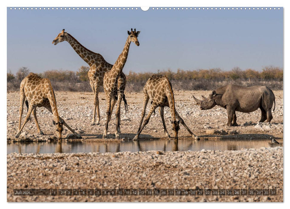 ETOSHA – Namibia Highlights (CALVENDO Premium Wandkalender 2026)
