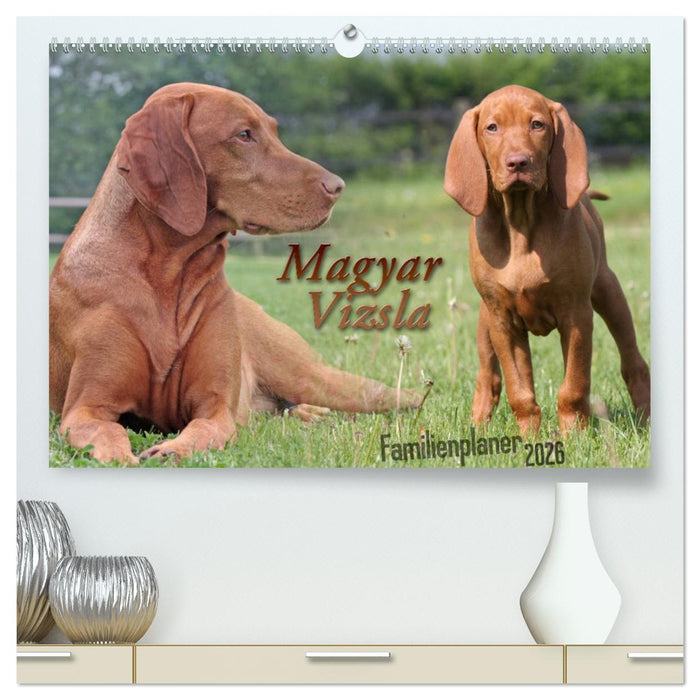 Familienplaner - Magyar Vizsla (CALVENDO Premium Wandkalender 2026)