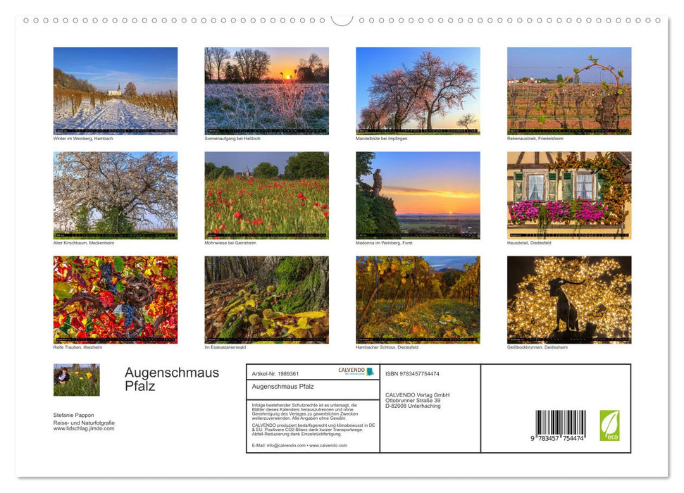 Augenschmaus Pfalz (CALVENDO Premium Wandkalender 2026)