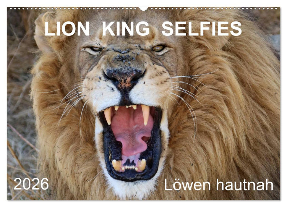 LION KING SELFIES Löwen hautnah (CALVENDO Wandkalender 2026)
