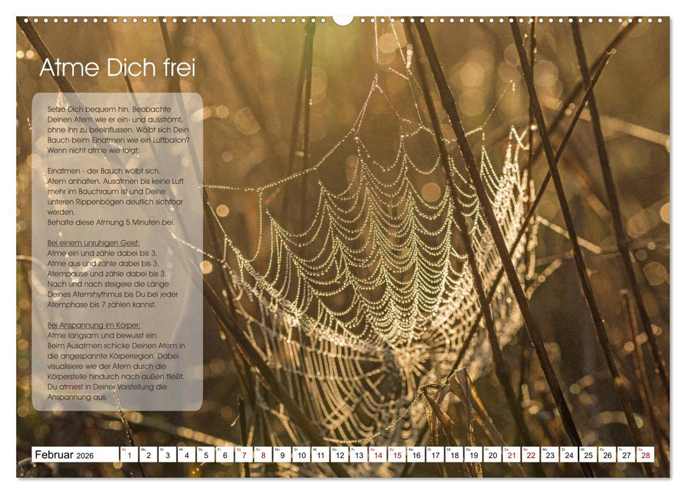 Meditation - Ein Kalender zum Mitmachen (CALVENDO Wandkalender 2026)