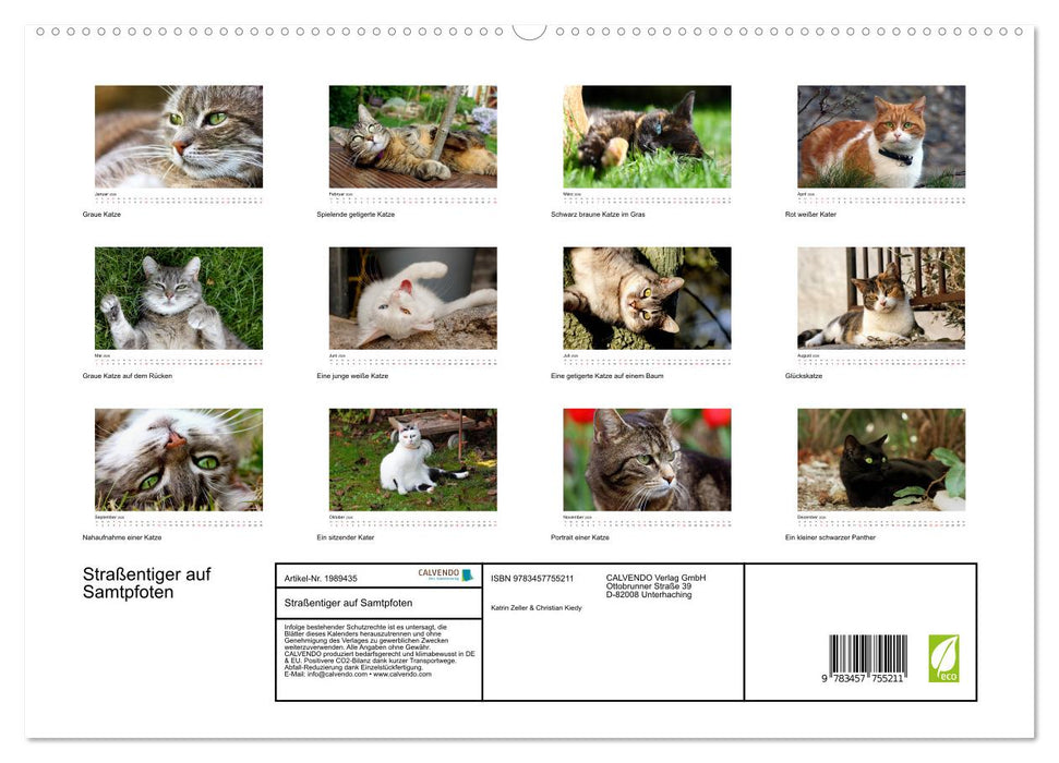 Straßentiger auf Samtpfoten (CALVENDO Premium Wandkalender 2026)