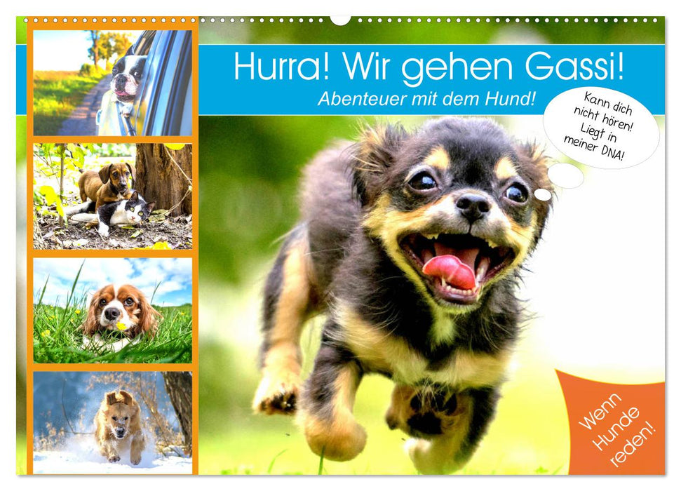 Hurra! Wir gehen Gassi! Abenteuer mit dem Hund! (CALVENDO Wandkalender 2026)