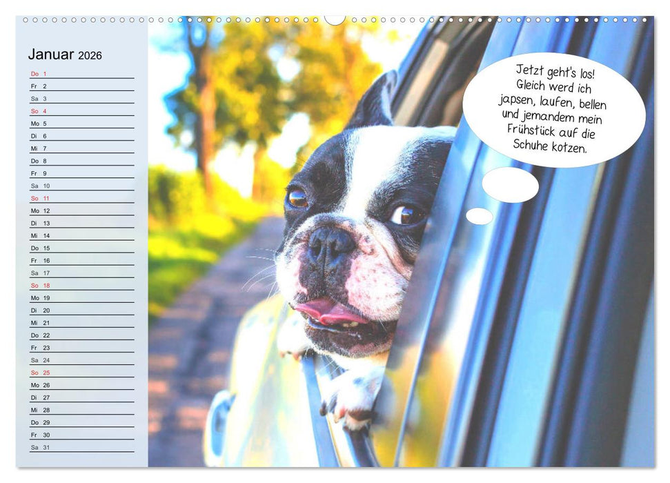 Hurra! Wir gehen Gassi! Abenteuer mit dem Hund! (CALVENDO Wandkalender 2026)