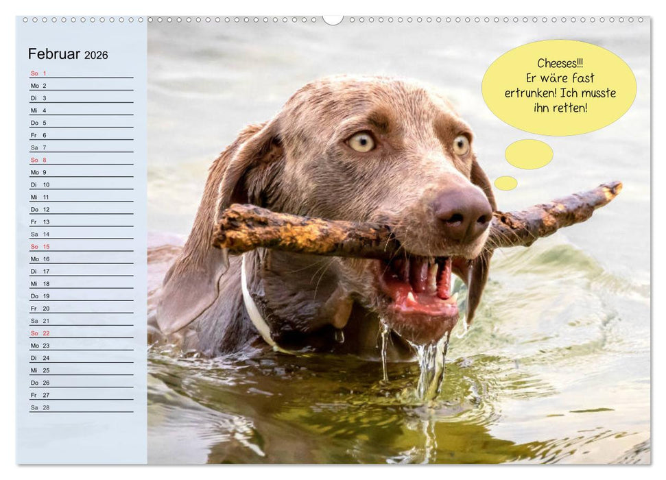 Hurra! Wir gehen Gassi! Abenteuer mit dem Hund! (CALVENDO Wandkalender 2026)