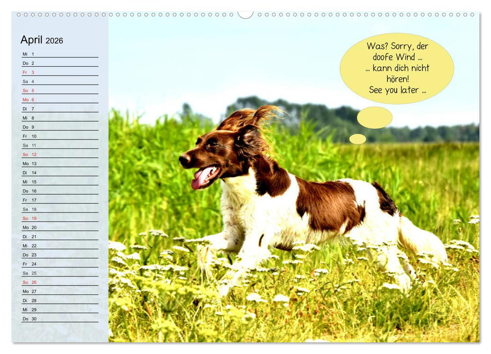 Hurra! Wir gehen Gassi! Abenteuer mit dem Hund! (CALVENDO Wandkalender 2026)