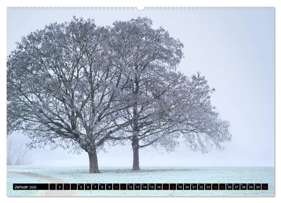 Mannheimer Impressionen. (CALVENDO Wandkalender 2026)