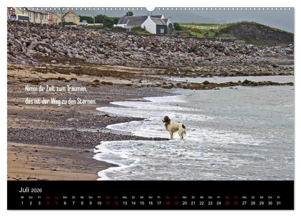 Irland - Irische Segenswünsche (CALVENDO Premium Wandkalender 2026)
