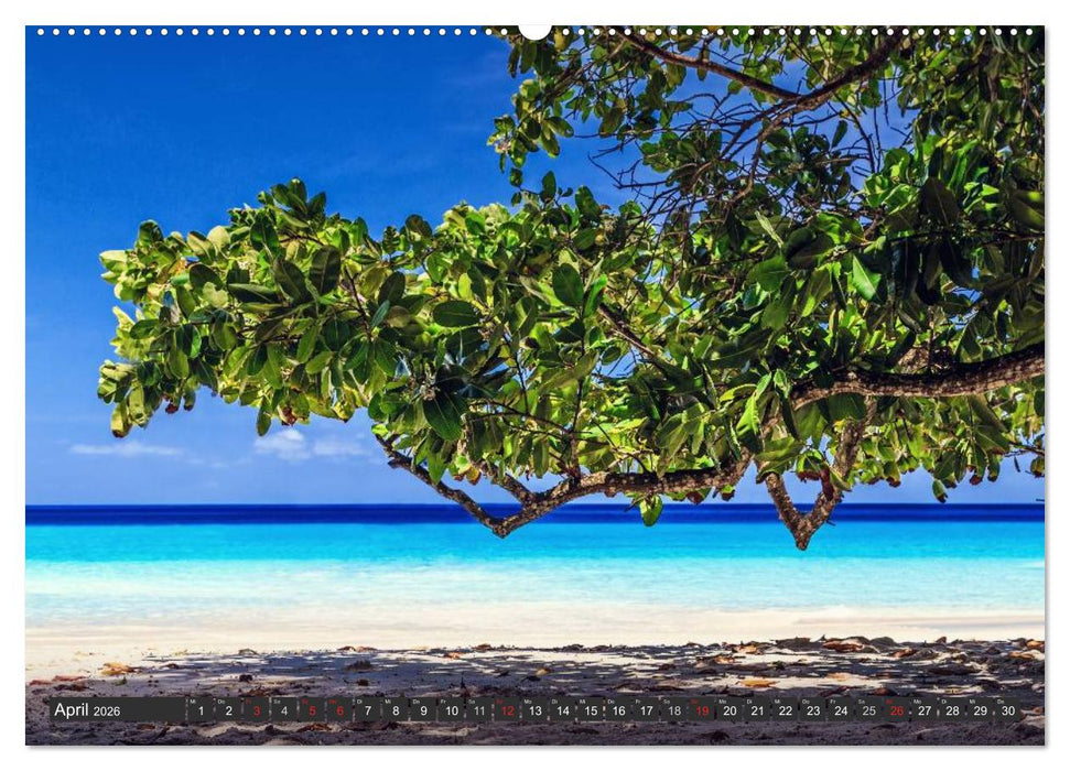 Seychellen – Traumstrände im Paradies (CALVENDO Premium Wandkalender 2026)