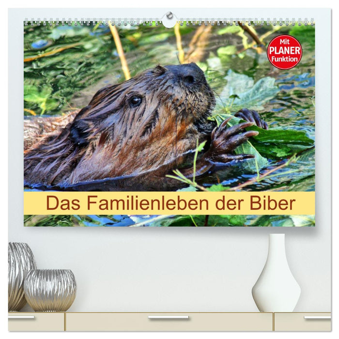 Das Familienleben der Biber (CALVENDO Premium Wandkalender 2026)