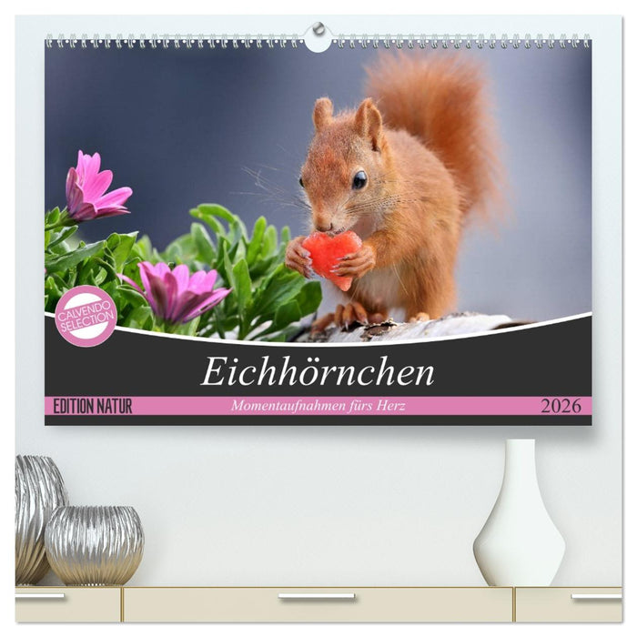 Eichhörnchen Momentaufnahmen fürs Herz (CALVENDO Premium Wandkalender 2026)
