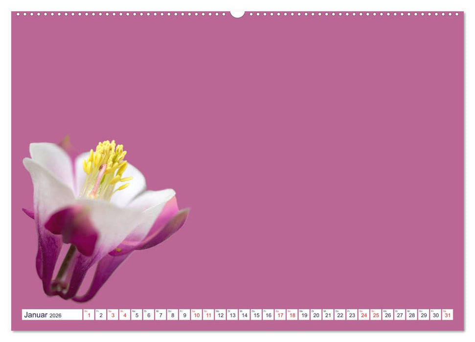 DIY POESIE - BASTELKALENDER (CALVENDO Wandkalender 2026)