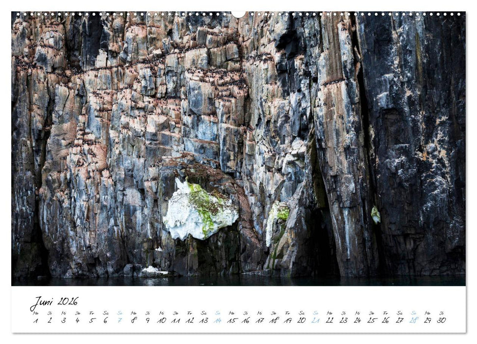 Heike Odermatt: 80° Nord - Fotografien von Spitzbergen und Nordaustland (CALVENDO Wandkalender 2026)