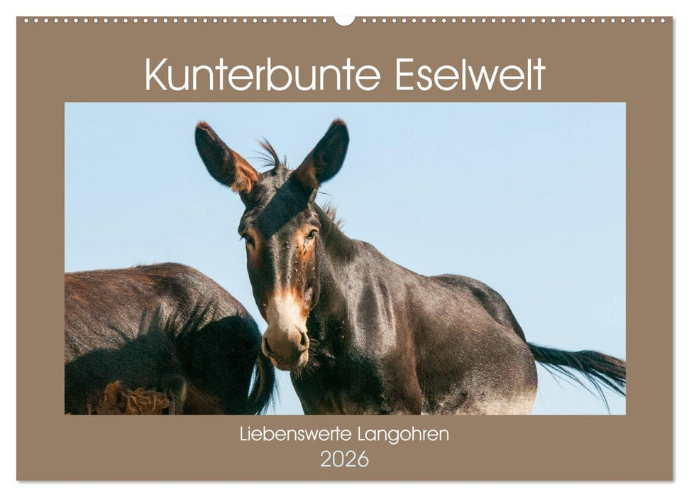 Kunterbunte Eselwelt - Liebenswerte Langohren (CALVENDO Wandkalender 2026)