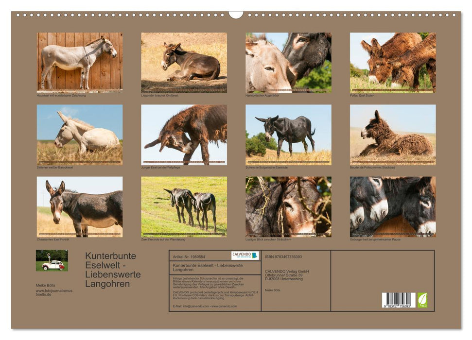 Kunterbunte Eselwelt - Liebenswerte Langohren (CALVENDO Wandkalender 2026)
