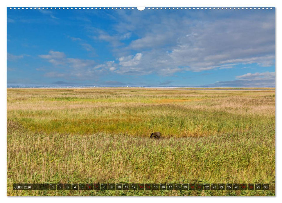 Impressionen von der Ostsee Fischland-Darß-Zingst (CALVENDO Wandkalender 2026)