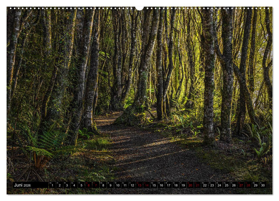 Trauminseln Neuseeland (CALVENDO Premium Wandkalender 2026)