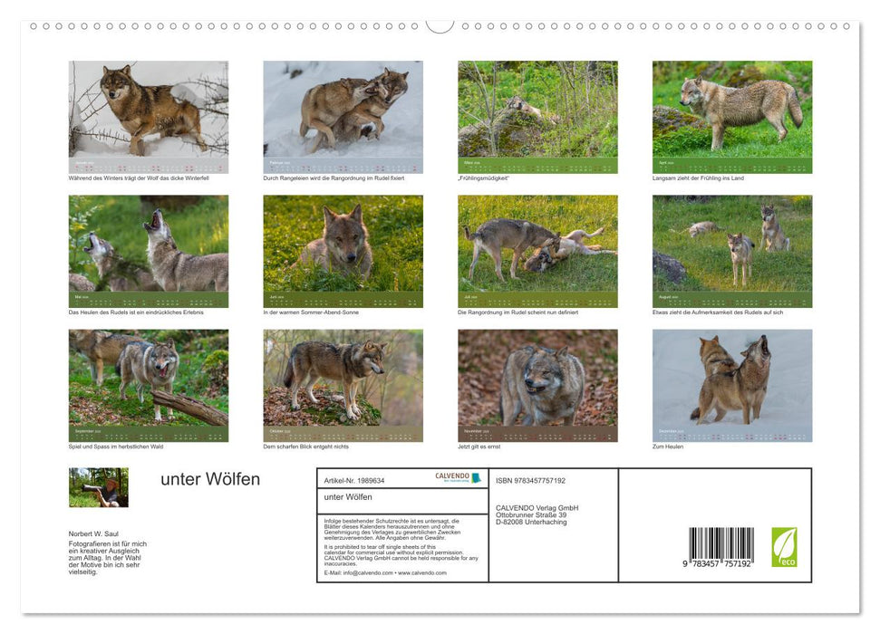 unter Wölfen (CALVENDO Premium Wandkalender 2026)