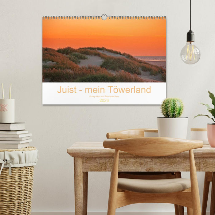 Juist - mein Töwerland (CALVENDO Wandkalender 2026)