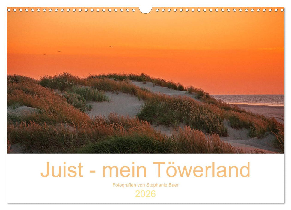 Juist - mein Töwerland (CALVENDO Wandkalender 2026)