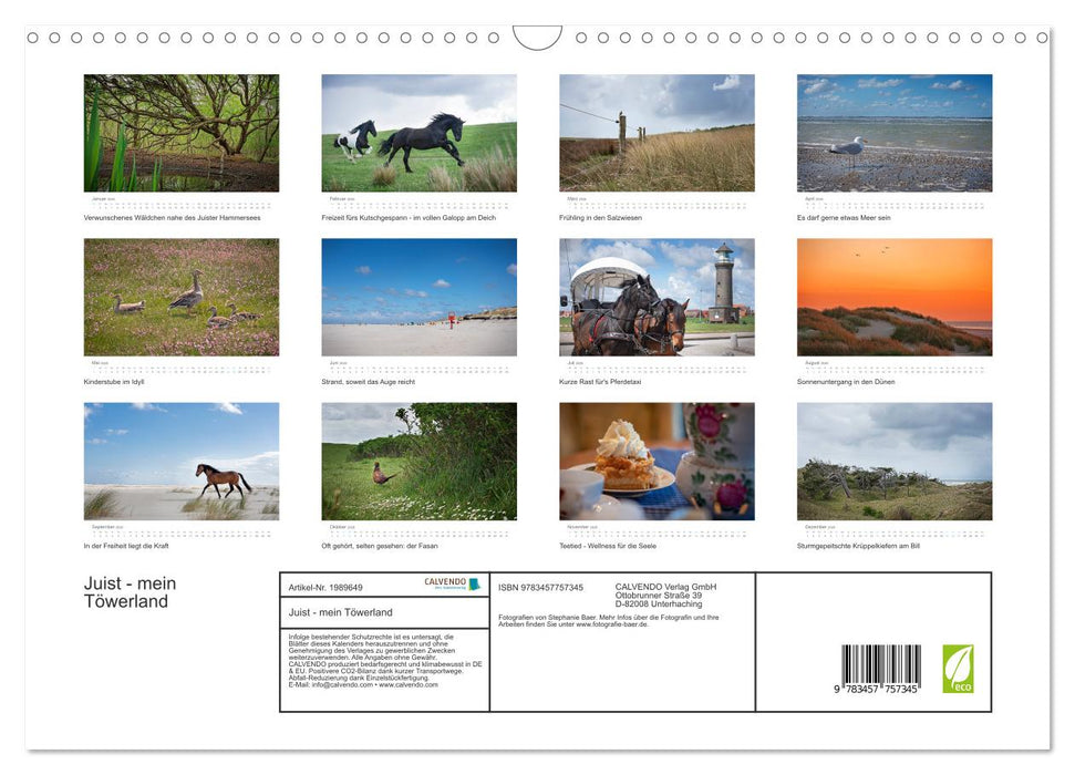Juist - mein Töwerland (CALVENDO Wandkalender 2026)