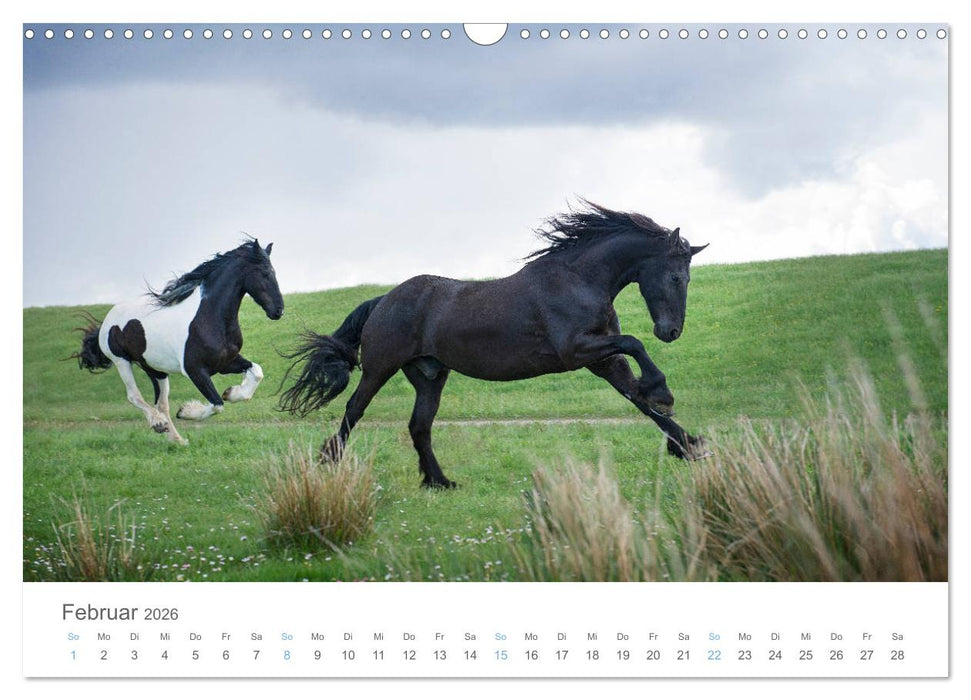 Juist - mein Töwerland (CALVENDO Wandkalender 2026)