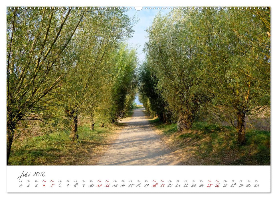 Osteeinsel Poel (CALVENDO Premium Wandkalender 2026)