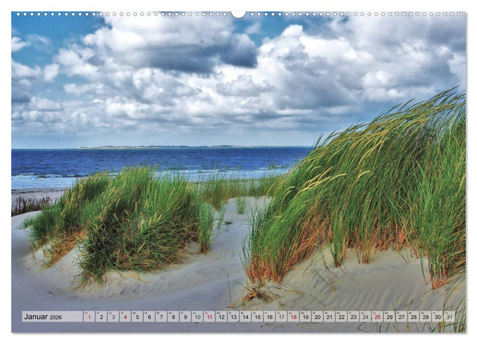 Typisch Amrum! (CALVENDO Premium Wandkalender 2026)