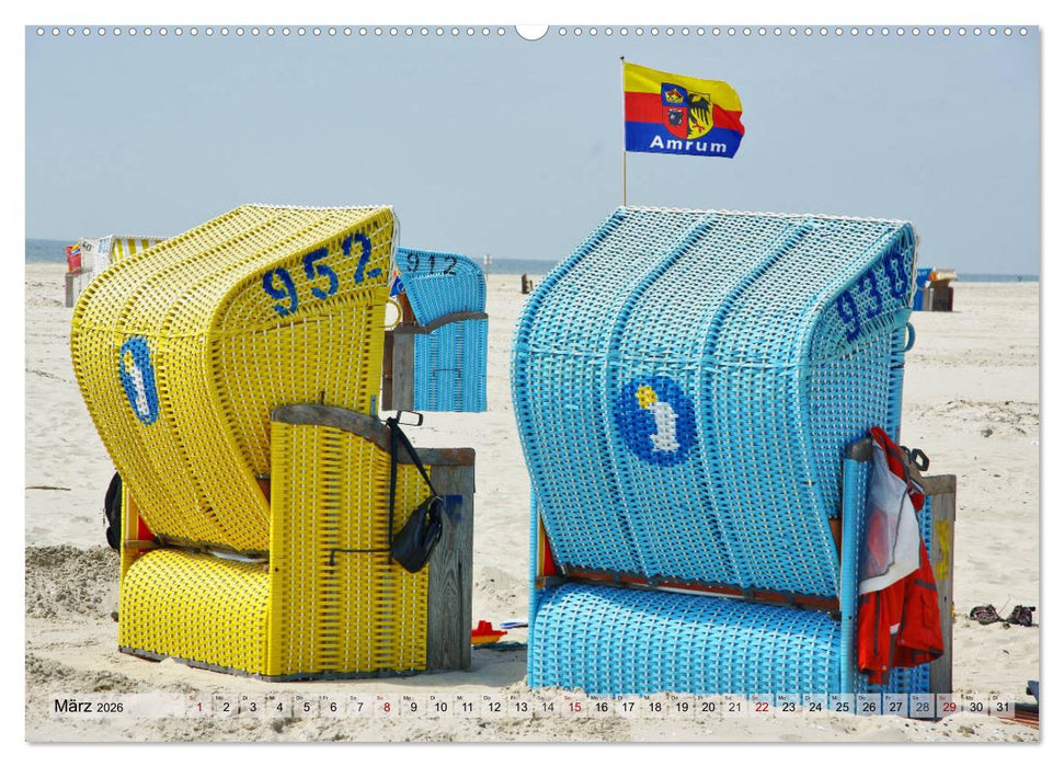 Typisch Amrum! (CALVENDO Premium Wandkalender 2026)
