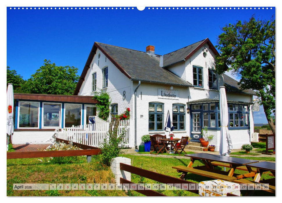 Typisch Amrum! (CALVENDO Premium Wandkalender 2026)
