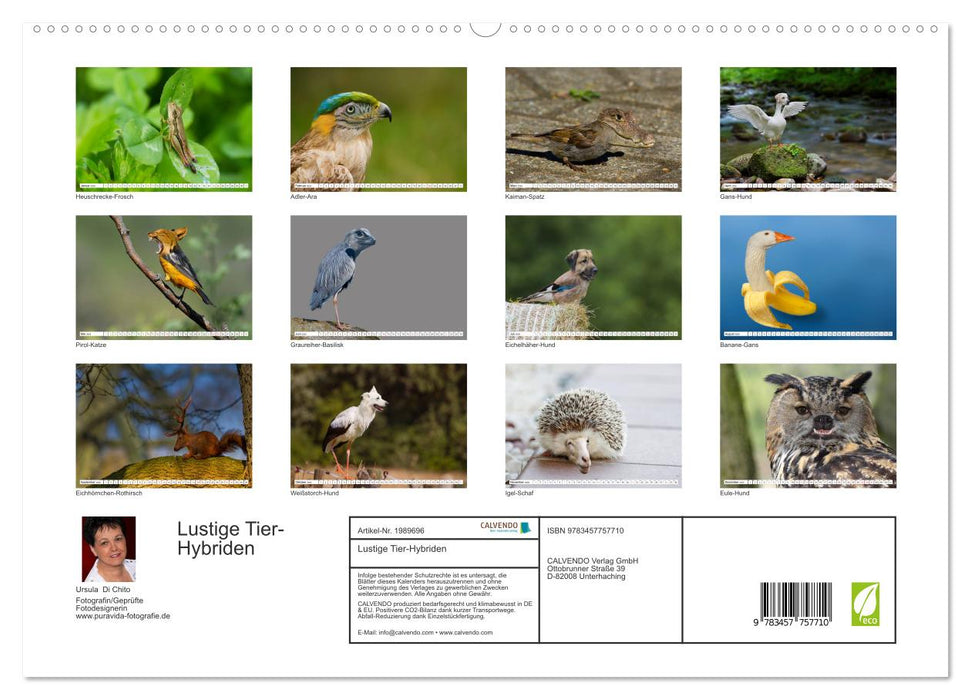 Lustige Tier-Hybriden (CALVENDO Premium Wandkalender 2026)