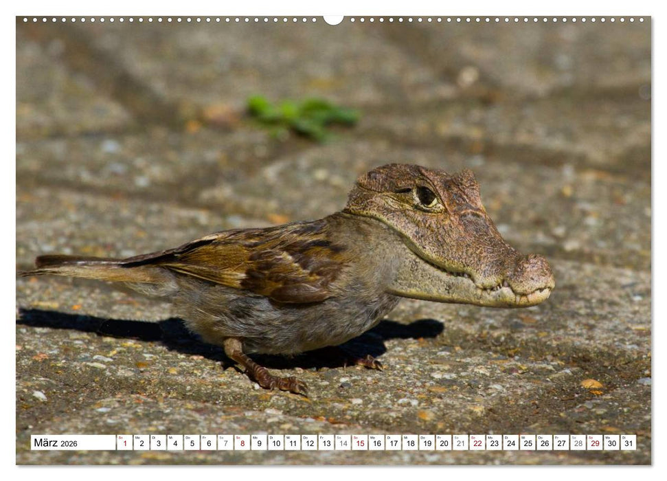 Lustige Tier-Hybriden (CALVENDO Premium Wandkalender 2026)