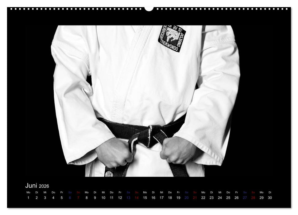Traditionelles Taekwon-Do (CALVENDO Premium Wandkalender 2026)
