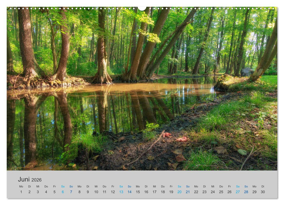 See- und Flußlandschaften in Brandenburg (CALVENDO Premium Wandkalender 2026)