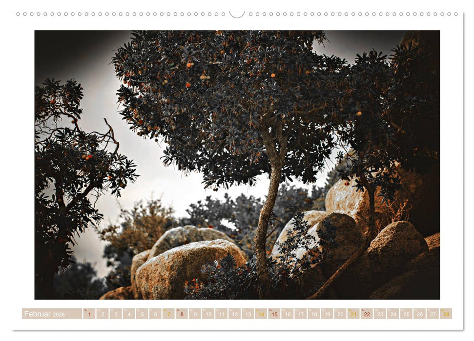 Sardinien Impressionen (CALVENDO Premium Wandkalender 2026)