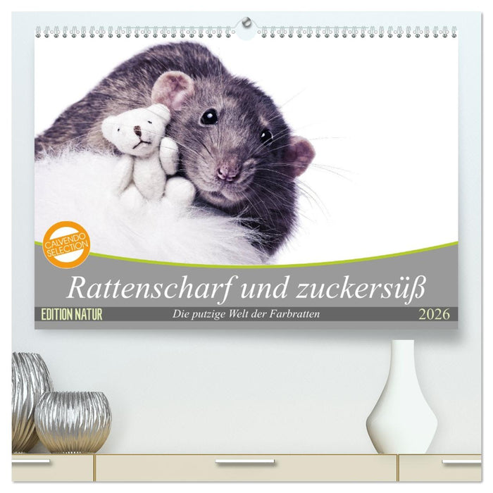 Rattenscharf und zuckersüß (CALVENDO Premium Wandkalender 2026)